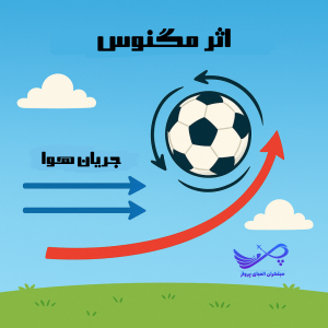 اثر مگنوس